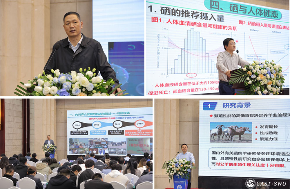 pa视讯官方集团