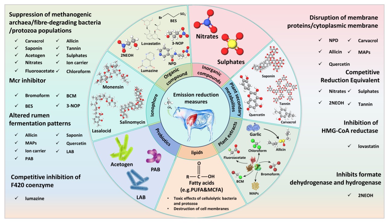 pa视讯官方集团