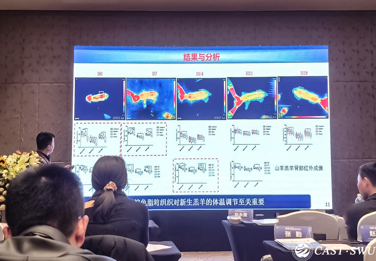 pa视讯官方集团