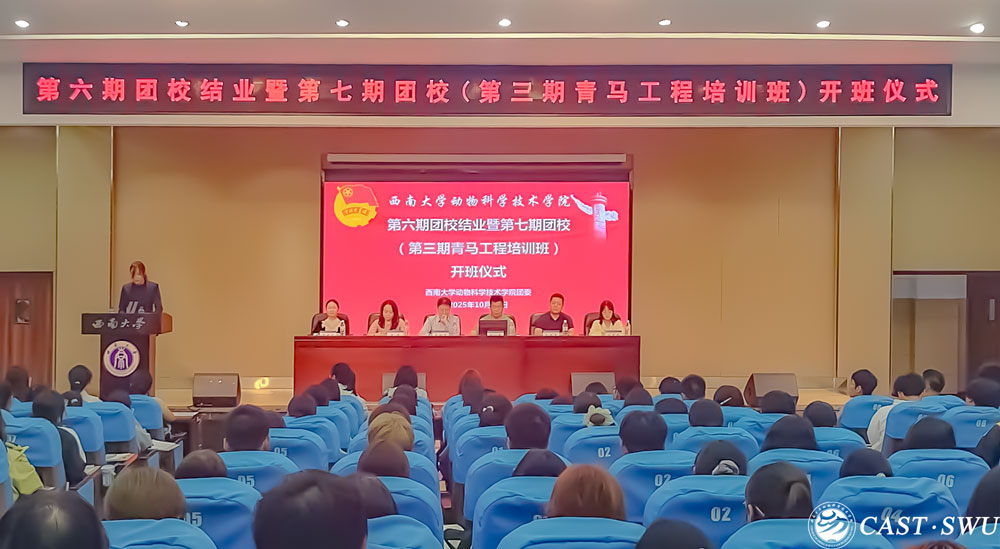 pa视讯官方集团