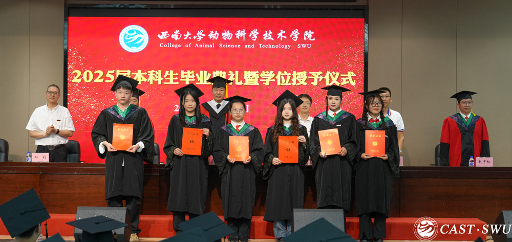 pa视讯官方集团