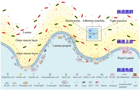 pa视讯官方集团
