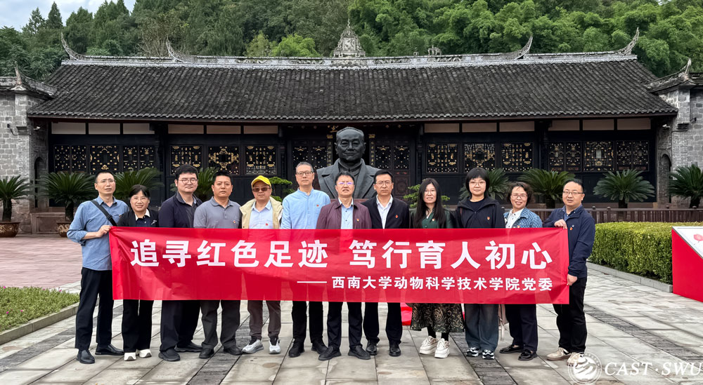 pa视讯官方集团