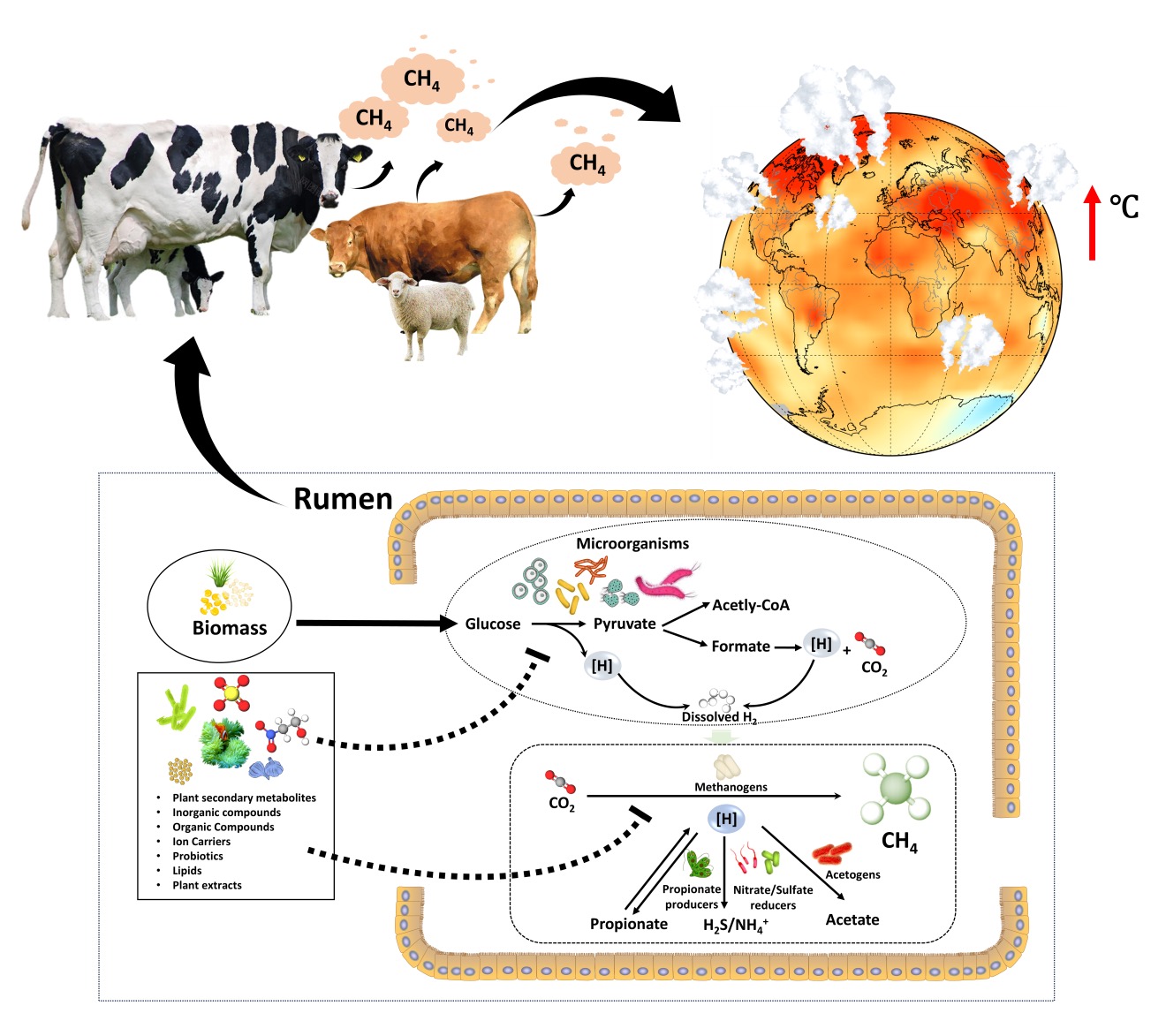 pa视讯官方集团